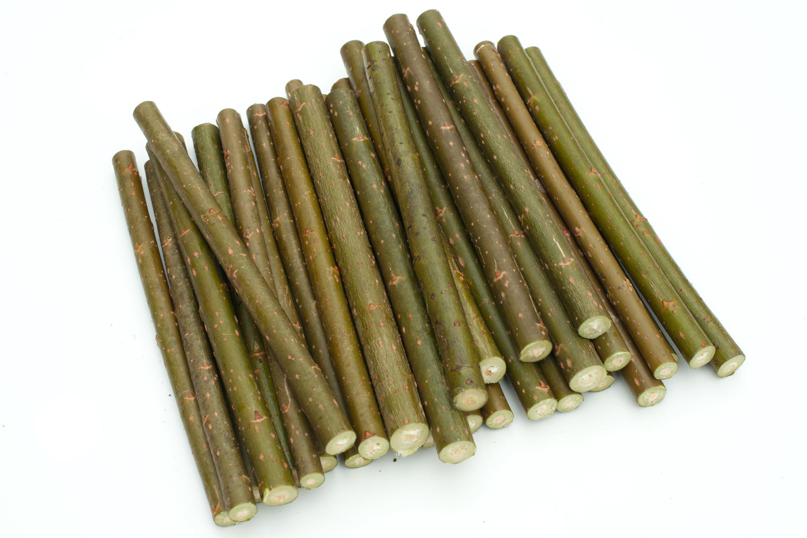 Pappelstecklinge 30cm lang