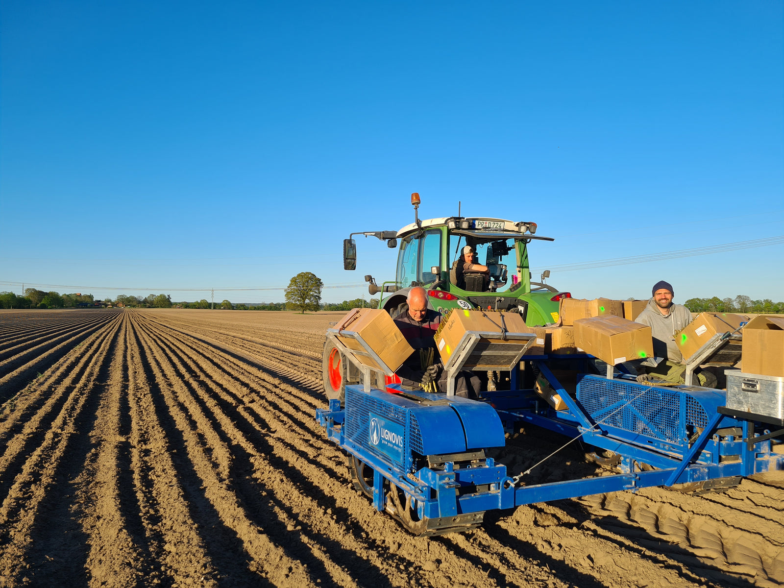 Pflanzung Pappelstecklinge mit Pflanzmaschine