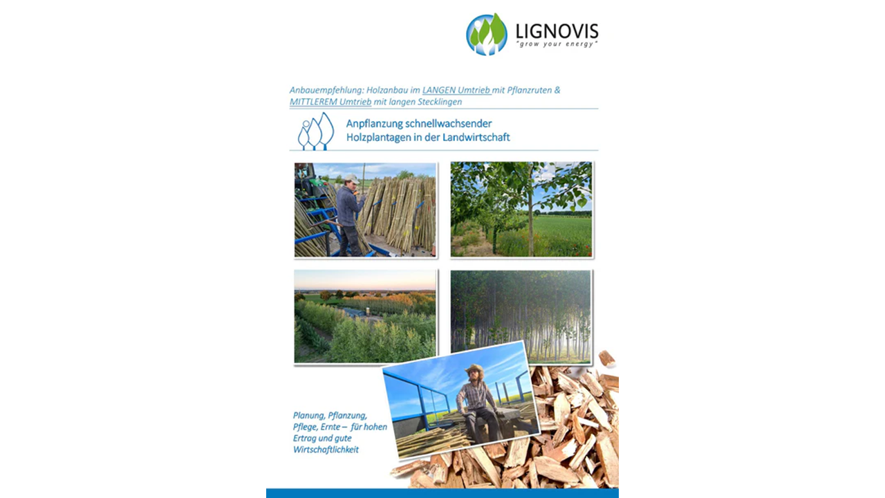 Anbauempfehlung für die Anpflanzung von Pappeln im mittleren Umtrieb als PDF Download